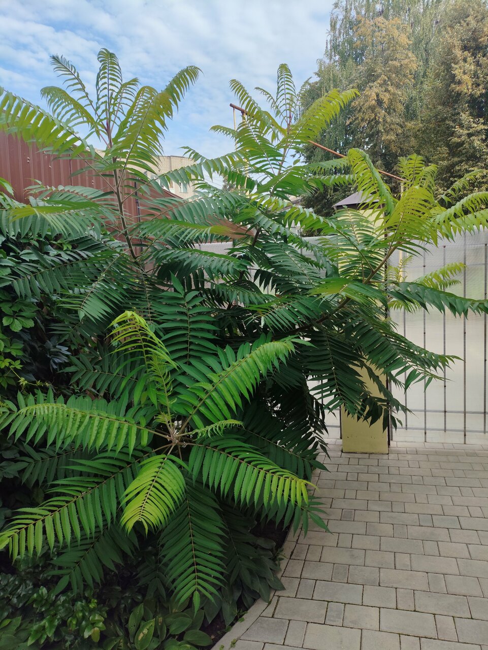 Гостиница Амосов Муром-123