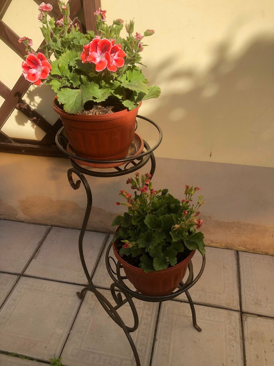 Гостиница Амосов Муром-53