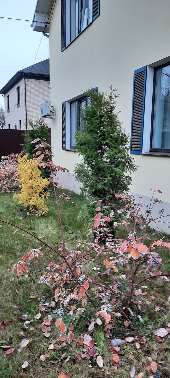 Гостиница Амосов Муром-32