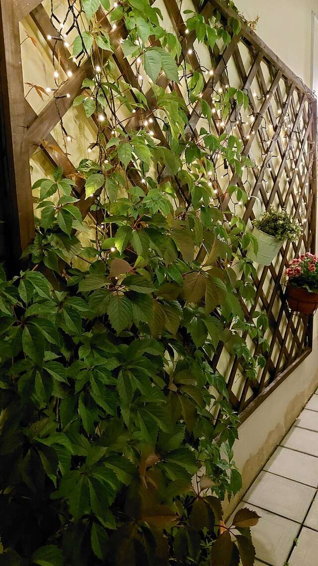 Гостиница Амосов Муром-57