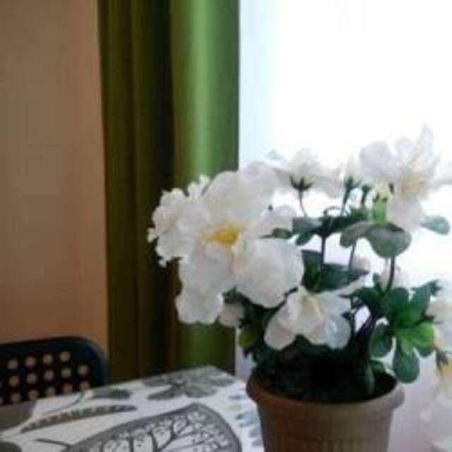 Гостиница Амосов Муром-97