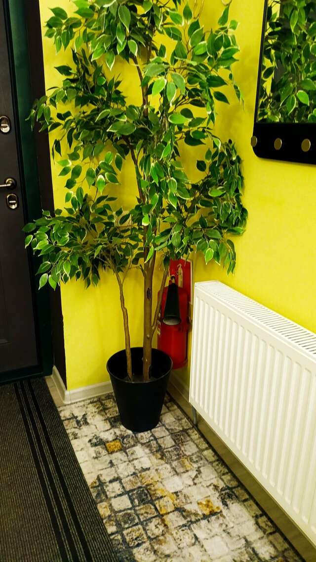 Гостиница Амосов Муром-142